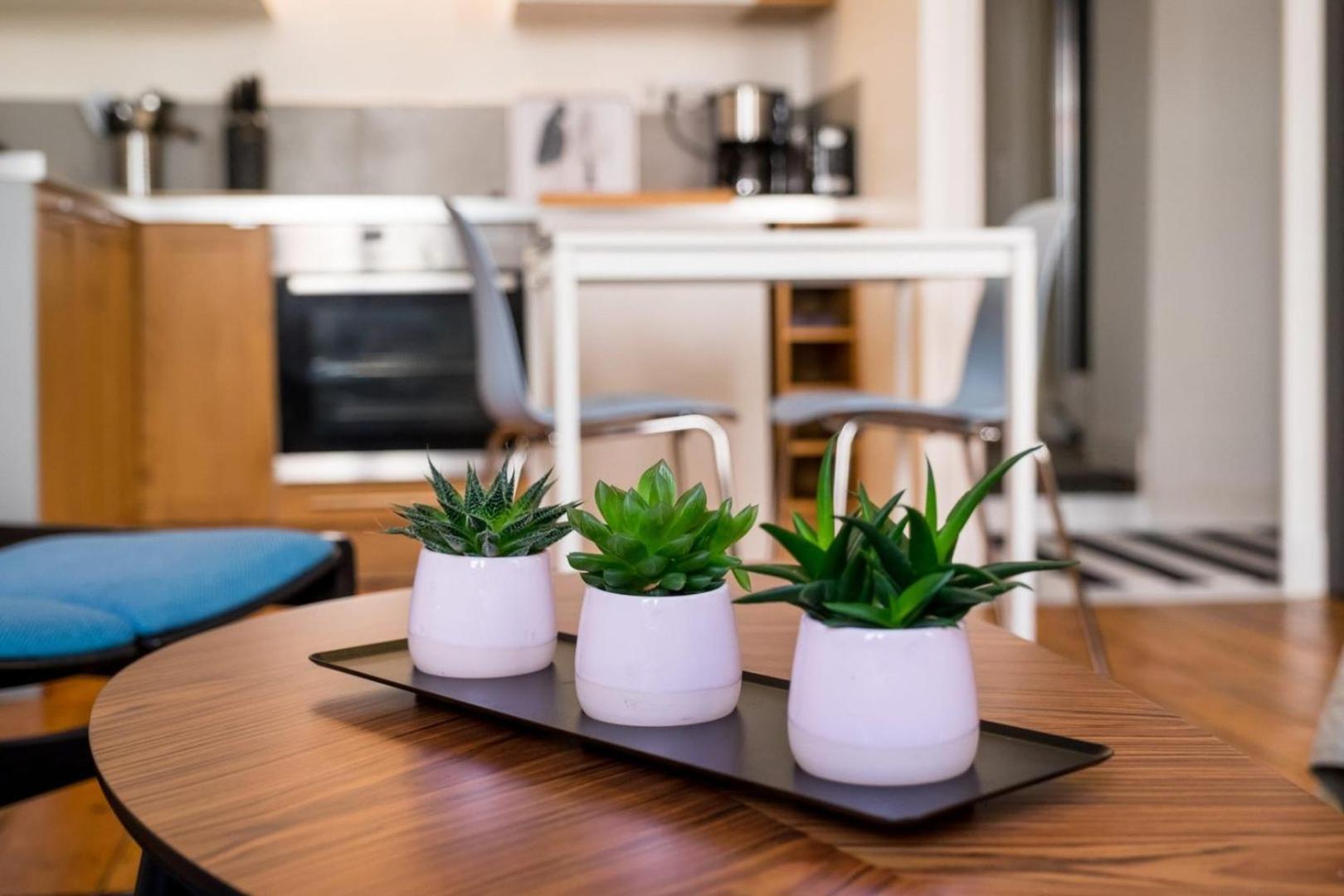 Appartement Old Town - Cozy And Functional Studio